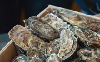 The warning against eating shellfish from the lochs has now been lifted