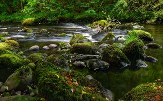 Those behind the project hope it will act as a blueprint for future conservation efforts across Scotland