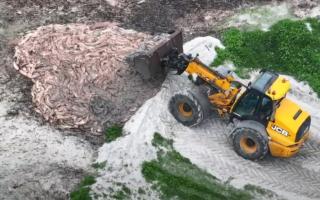 The family-run Whiteshore Cockles in North Uist said they had to 'take urgent action' after the new fishing processing plant failed