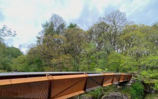 Bracklinn Falls Footbridge won in the Pedestrian and Cycle Bridge category