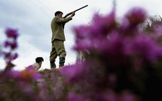 Grouse shooting businesses are seeking clarity on when the licencing scheme will come into force